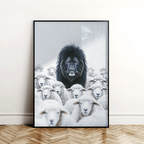 A King Among Sheep