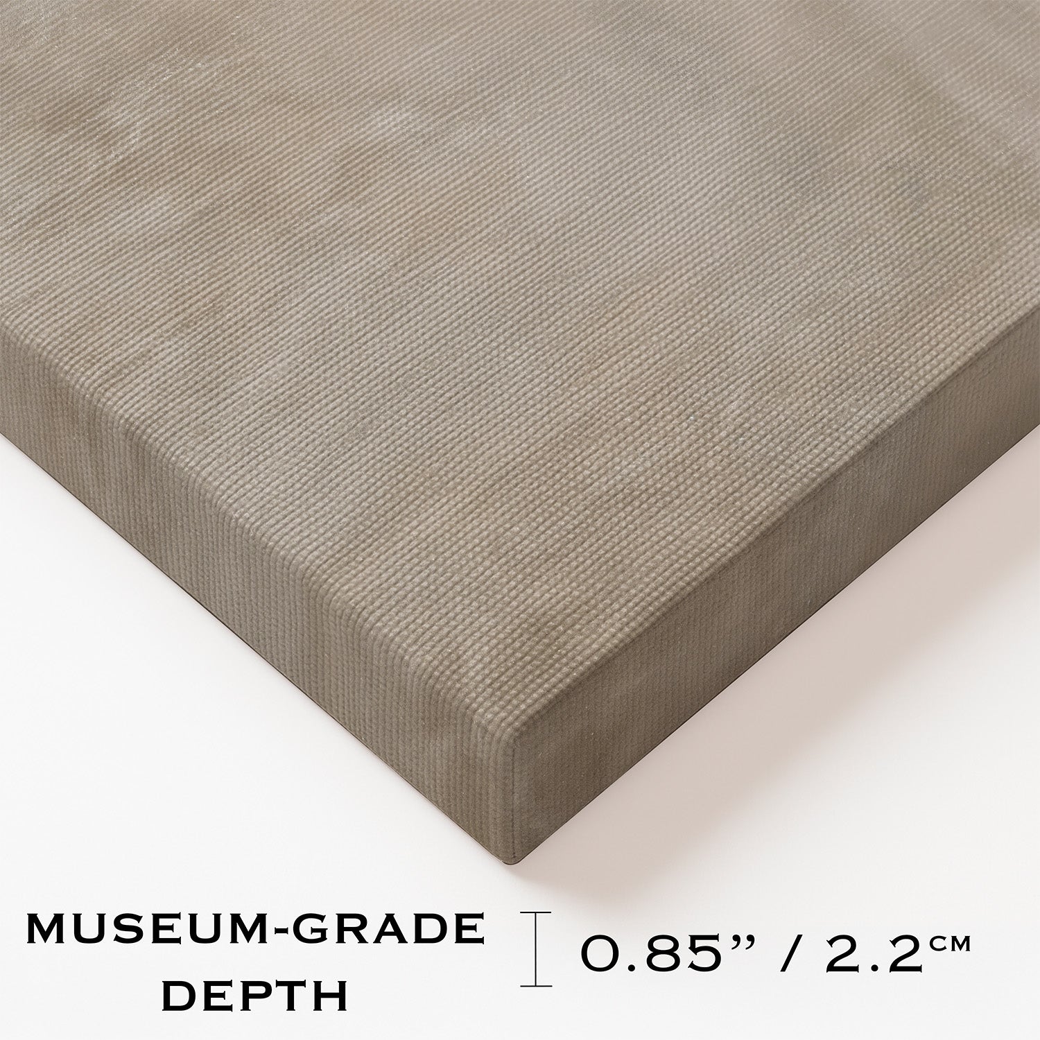 Need Money For Porsche